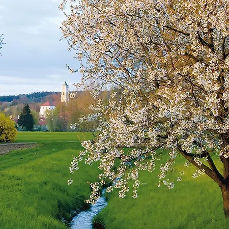 Отель Sonnenhof 4*