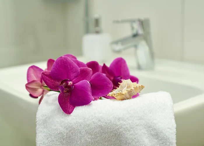 Hotel Sonnenhof 4*