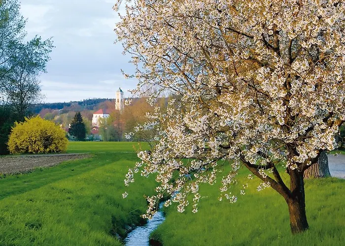 Hotel Sonnenhof 4*
